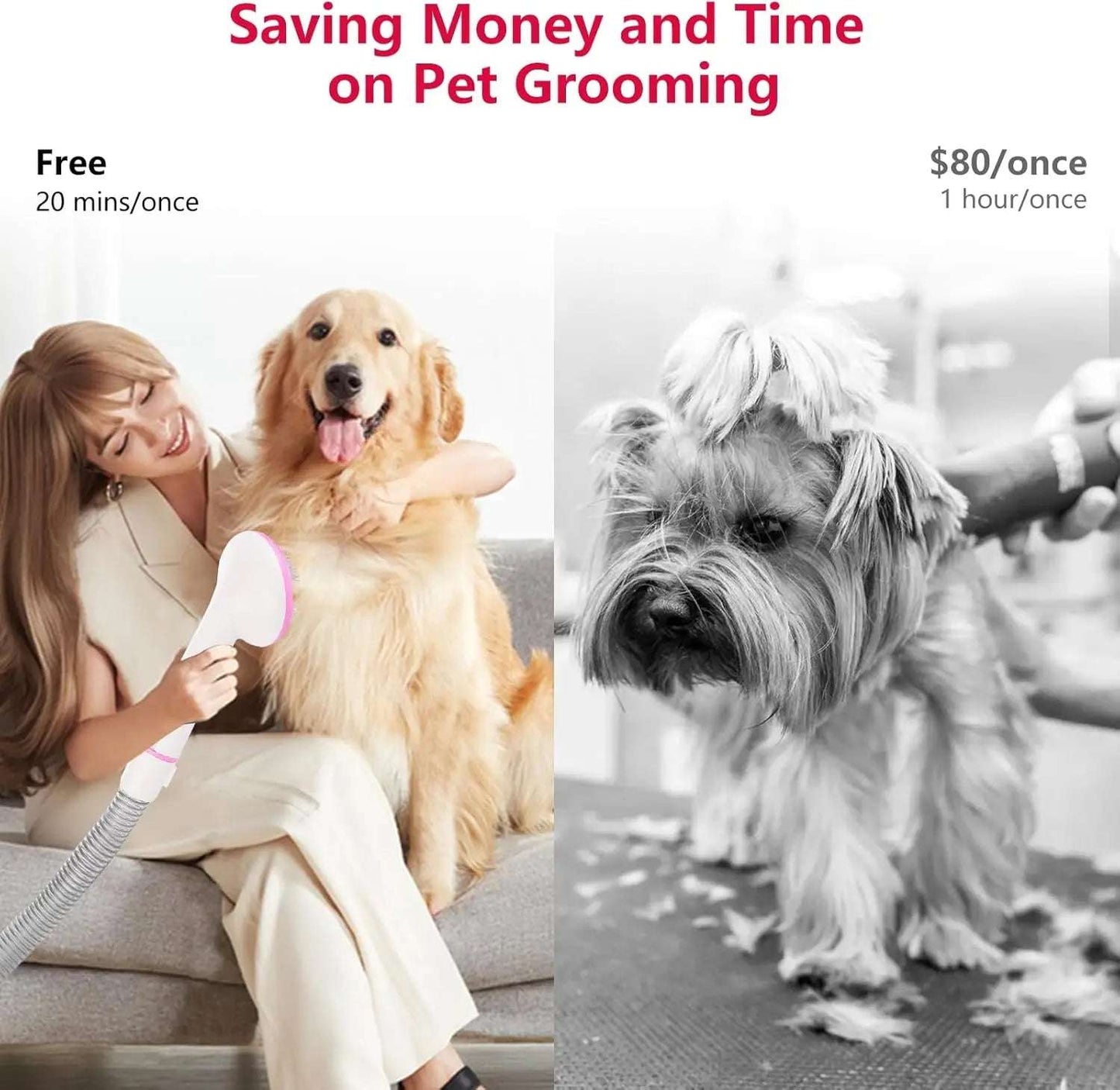 Pet Grooming Vacuum,