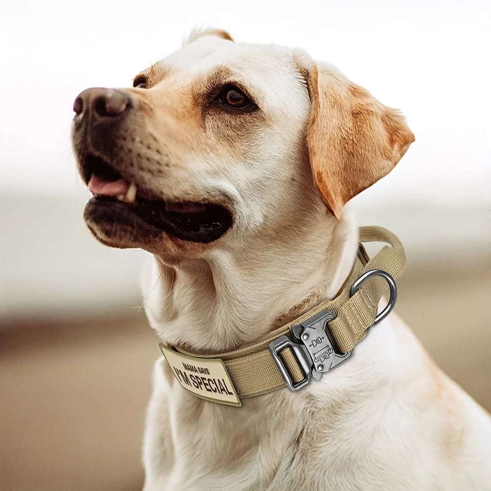 Heavy Duty Tactical Dog Collars