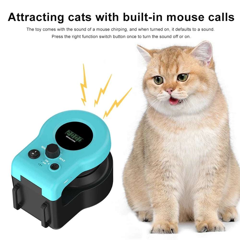 Cat Toys for Indoor Cats