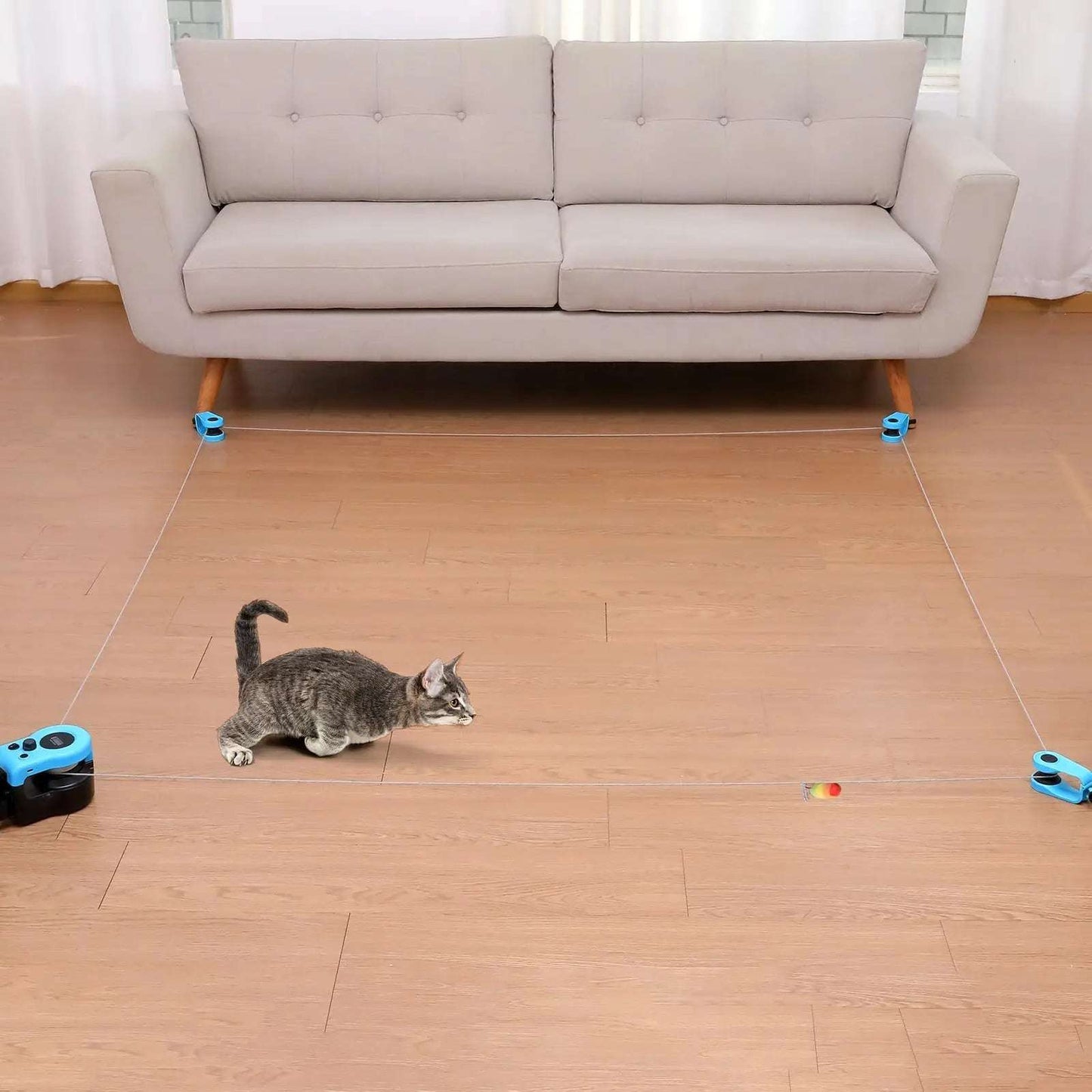 Cat Toys for Indoor Cats