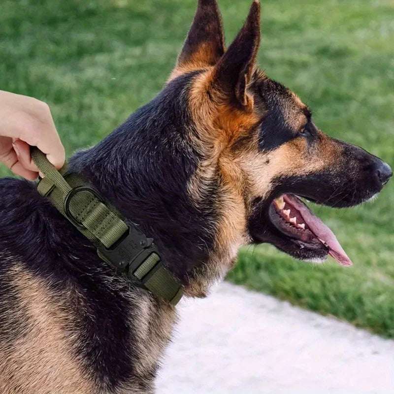 Heavy Duty Tactical Dog Collars