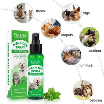 100ml Natural Pet Care Topical Flea&Tick Spray